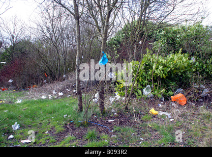 Wind-soffiato di sacchetti di plastica intrappolato in alberi,prossimo supermercato, Glasgow, Scotland, Regno Unito. Foto Stock