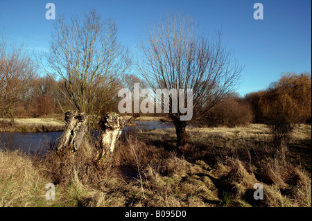 Il paesaggio lungo il fiume Erft in inverno, regione del Basso Reno, Neuss, Renania settentrionale-Vestfalia, Germania Foto Stock