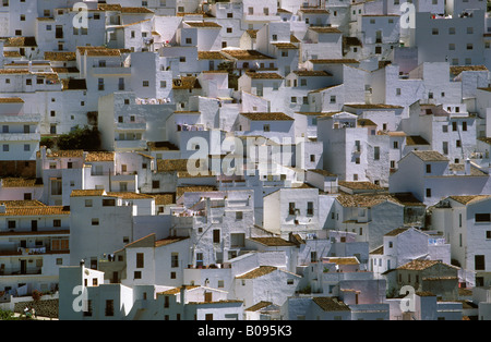 Casares, provincia di Malaga, Andalusia, Spagna Foto Stock
