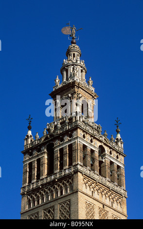 La Giralda torre campanaria, Cattedrale di Siviglia, in Andalusia, Spagna Foto Stock