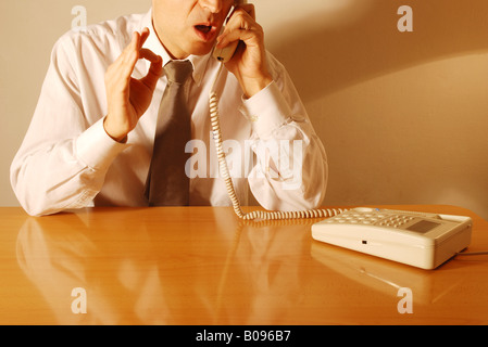 Gesti con le mani: parlando al telefono. Precisare. Foto Stock