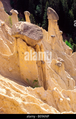 Camini di Fata, conica formazioni rocciose a Perca, Val Pusteria, Bolzano, Italia Foto Stock