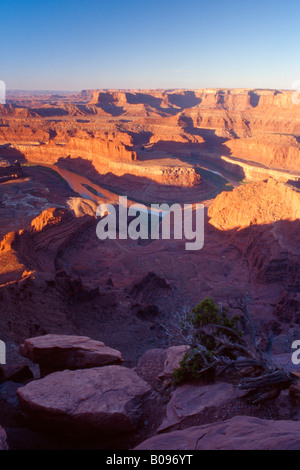 Il fiume Colorado in Dead Horse Point State Park, Canyonlands, Utah, Stati Uniti d'America Foto Stock