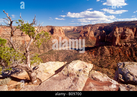 Colorado National Monument, Colorado, STATI UNITI D'AMERICA Foto Stock