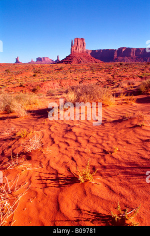 Monument Valley Navajo Tribal Park, Arizona, Stati Uniti d'America Foto Stock