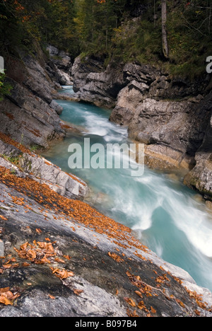 Fiume Rissbach in autunno, gamma Karwendel, Tirolo, Austria Foto Stock