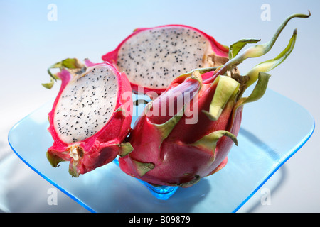 Dragon frutto aka Pitahaya, Pitaya Foto Stock