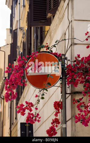 Nessuna voce di segno rosso con fiori di bouganville, Roma, Italia Foto Stock