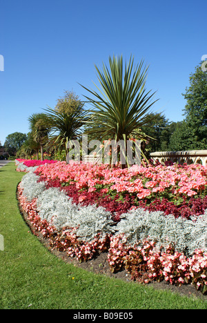 Letti di fiori in Mowbray Park, Sunderland, Tyne & Wear, England, Regno Unito Foto Stock