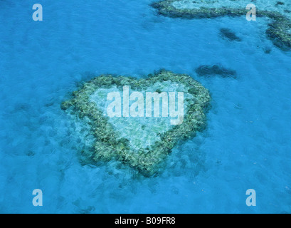 Vista aerea del cuore Reef in Hardy Reef parte della Grande Barriera Corallina Queensland Australia Foto Stock