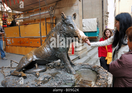 Cinghiale in bronzo in Mercato Nuovo, Firenze, talia Foto Stock