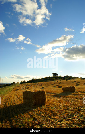 Haystacks vicino al monumento Penshaw, vicino Penshaw, Houghton le Spring, County Durham, England, Regno Unito Foto Stock