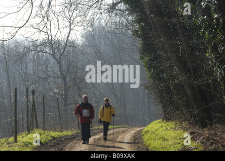 Nordic walking presso la Foresta del Palatinato, in Germania, in Renania Palatinato, Pfalz, Pfaelzerwald Foto Stock