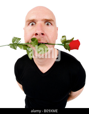 Testa calva uomo con una rosa rossa in bocca Foto Stock