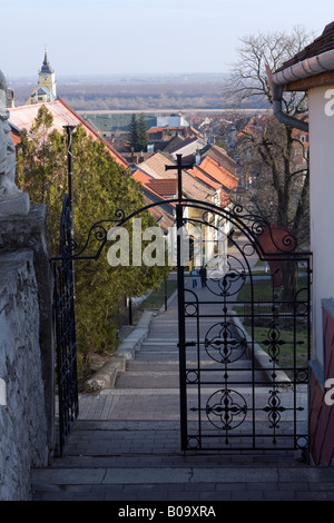 Ferro battuto cancello in un villaggio slovacco, Svätý Jur, Slovacchia, Europa orientale Foto Stock