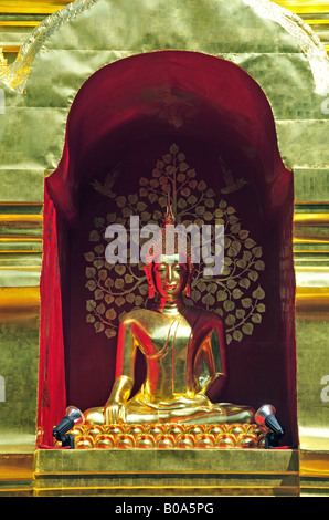 Budda di Sareerikkatartsirirak Pagoda di Wat Phan su, Thailandia Chiang Mai Foto Stock