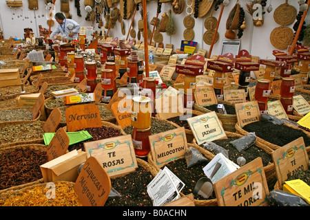 Piante medicinali in vendita in una fiera Foto Stock