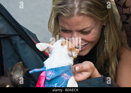 Donna di essere affettuoso con un chihuahua cane Foto Stock