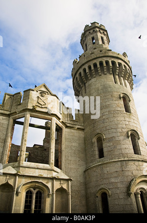 La torre principale Ducketts Grove Castello Co. Carlow Irlanda Foto Stock