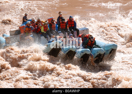 Raft andando attraverso la lava rapida un gigante veloce sul Fiume Colorado nel Grand Canyon Arizona USA MR Foto Stock