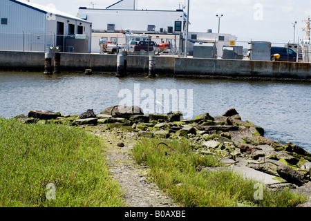 Piccole gru bianca da una via navigabile con un cantiere in background al termine di un percorso con una spiaggia rocciosa Foto Stock