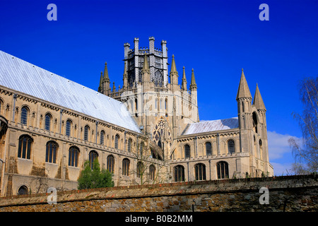 Torre Ottagonale a sud di elevazione della Cattedrale di Ely Ely Città Cambridgeshire England Regno Unito Regno Unito Foto Stock