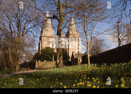 St Machar's Cathedral da Seaton Park con Daffodils nel Foreground, Aberdeen, Scozia Foto Stock