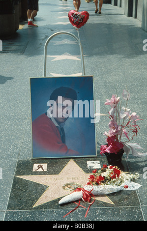 Elvis Presley's Stella sulla Walk of Fame - Hollywood Foto Stock