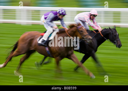 Corse di cavalli ad Ascot Racecourse Berkshire England Regno Unito Foto Stock