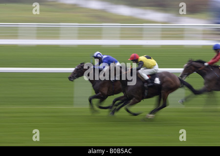 Corse di cavalli ad Ascot Racecourse Berkshire England Regno Unito Foto Stock