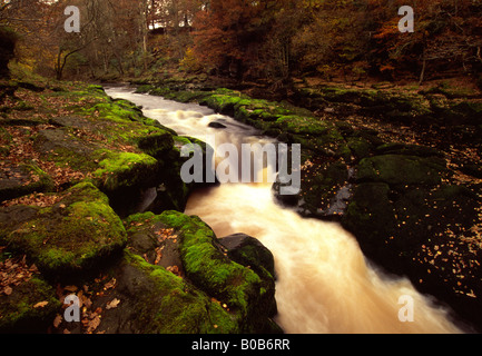 L 'hotel Astrid Bolton Abbey North Yorkshire, Inghilterra Foto Stock