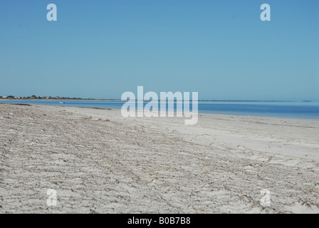 Princess Hwy Kingston South East Australia Foto Stock