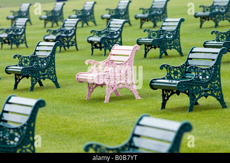 Panche in pista da corse di Ascot Berkshire England Regno Unito Foto Stock