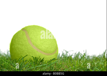 Il livello superficiale colpo di un giallo palla da tennis su erba vera Foto Stock