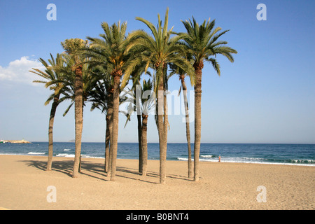 La spiaggia centrale Vilajoyosa vicino a Benidorm Spagna Foto Stock