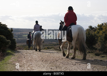 Percorsi per Pony sul crinale di Hampton New Forest Hampshire REGNO UNITO Foto Stock