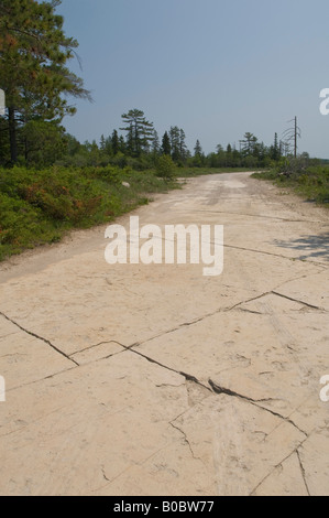 La roccia calcarea esposta in una strada su Drummond Island in Michigan s Penisola Superiore Foto Stock