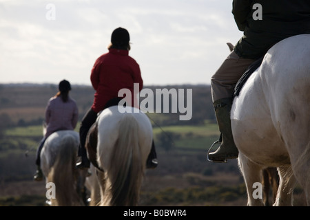 Percorsi per Pony sul crinale di Hampton New Forest Hampshire REGNO UNITO Foto Stock