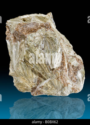 L'actinolite con phlogopite mica Dakota del Sud Foto Stock