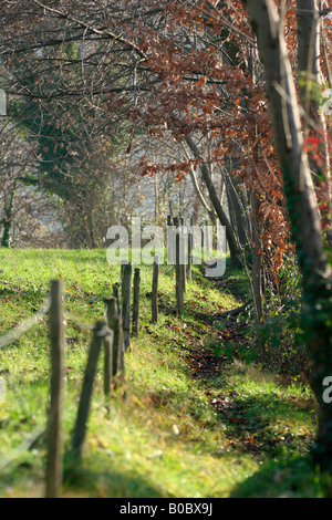 Lago piccolo di Avigliana. Val Sangone, Torino, Piemonte, Italia. Foto Stock