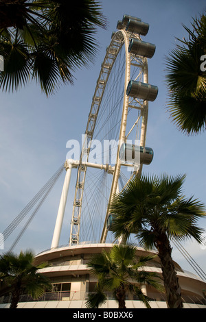 Singapore Flyer i mondi più grande ruota panoramica che mostra alcuni lanscaping di attrazione turistica Foto Stock