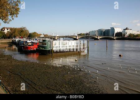 Houseboats ormeggiato sul fiume Tamigi a Chelsea Wharf, a Chelsea, Londra Foto Stock