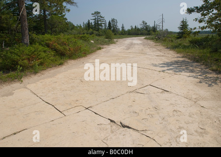 La roccia calcarea esposta in una strada su Drummond Island in Michigan s Penisola Superiore Foto Stock