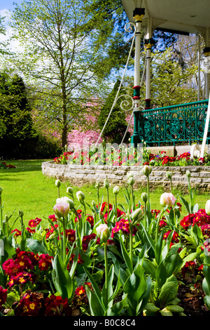 La molla aiuole di fiori di tulipani e primulas rossa nella parte anteriore del Vittoriano bandstand presso la cittadina di giardini, Swindon, Wiltshire, Regno Unito Foto Stock