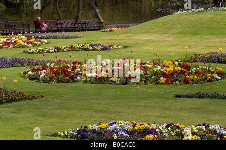 Vista della semina primaverile (tulipani, primulas e bellis margherite) a Southport Botanic Gardens, presi a aprile 2008. Foto Stock