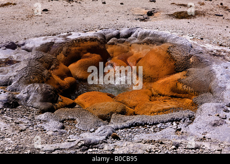 Immagine guardando verso il basso e nella profondità del guscio Geyser in biscotto Geyser Basin Foto Stock