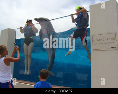 Serbatoio di Marineland Foto Stock