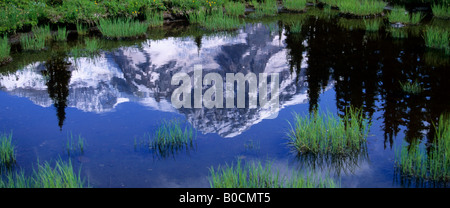 Mount Rainier riflessa nella piccola piscina, Mt Rainier National Park, Washington Foto Stock