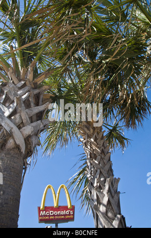 Il Golden Arches di un McDonald's segno tra due cavolo cappuccio o sabal palms, la struttura dello stato della Florida. Foto Stock