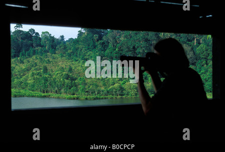 Turistica prendendo fotografie da nascondere nel Parco Nazionale di Khao Yai Foto Stock